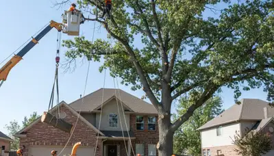 Arborists using bucket truck for large tree removal near Hill AFB in Ogden, UT ensuring safe property cleanup
