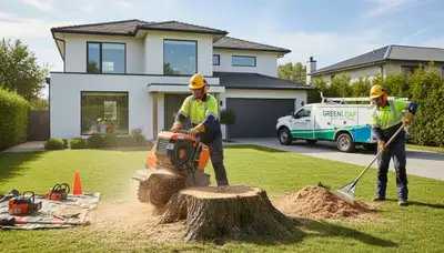 Professional stump removal service in Ogden, UT with safe grinding for clean, level yards