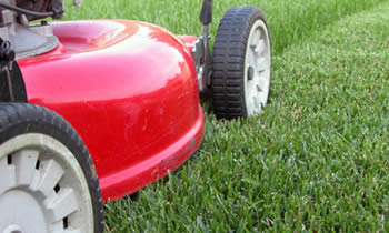 Lawn Care in Ogden UT Lawn Care Services in Ogden UT Quality Lawn Care in Ogden UT